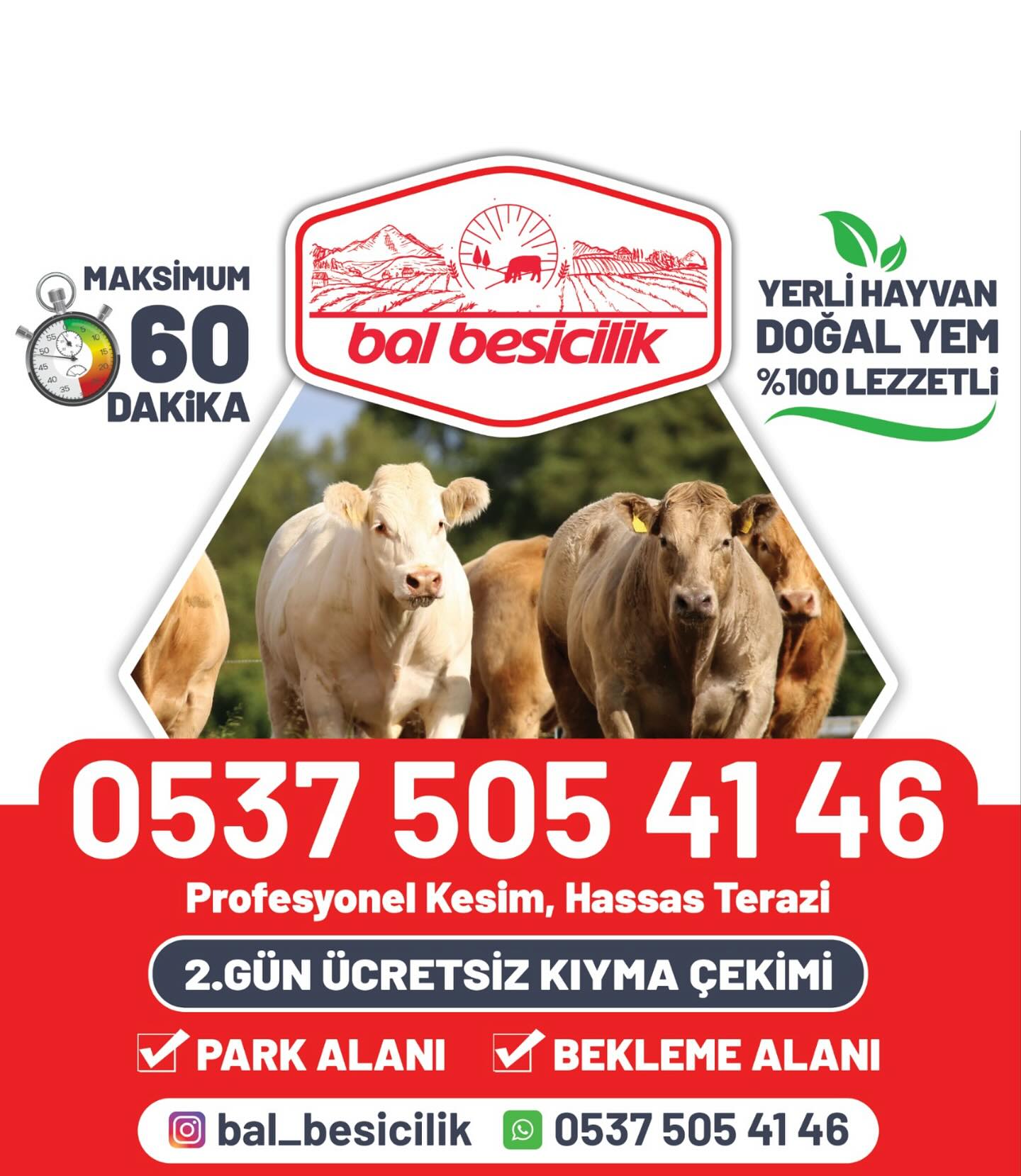 Afiş